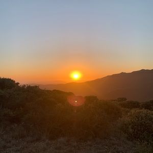 Meet your Posher, Haydn